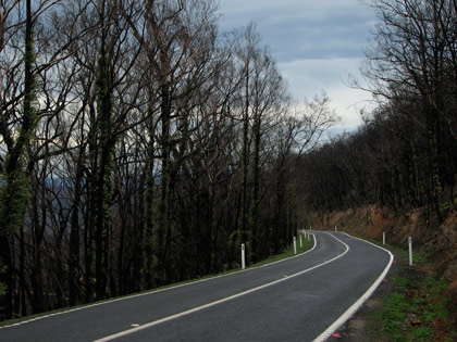 road-to-king-lake3